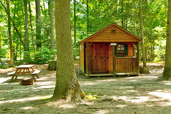 Rustic Cabin Exterior